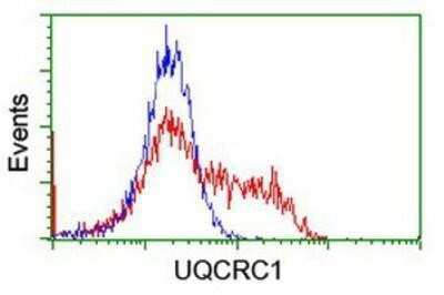 Flow Cytometry: UQCRC1 Antibody (OTI1G6) - Azide and BSA Free [NBP2-74796]