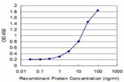 ELISA: USP14 Antibody (1F8) [H00009097-M08]