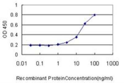 ELISA: USP34 Antibody (2E2) [H00009736-M01]