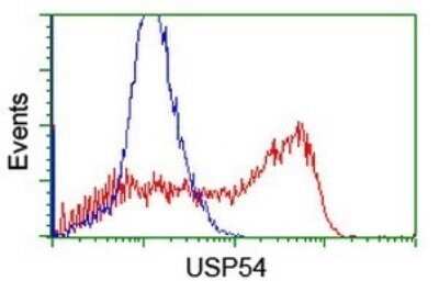 Flow Cytometry: USP54 Antibody (OTI1G6) - Azide and BSA Free [NBP2-74813]