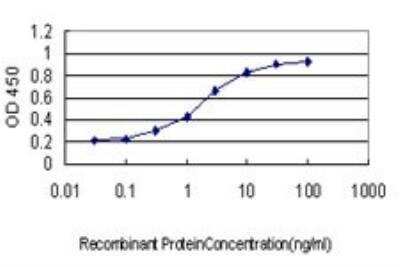 ELISA: UbcH10/UBE2C Antibody (9D3) [H00011065-M01]