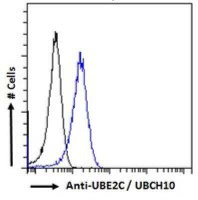 Flow Cytometry: UbcH10/UBE2C Antibody [NB100-1084]