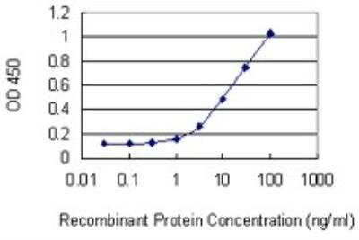 ELISA: Uridine Phosphorylase 1/UPP1 Antibody (2F5) [H00007378-M01]