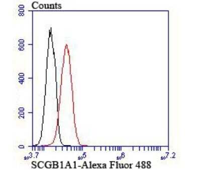 Flow Cytometry: Uteroglobin/SCGB1A1 Antibody (JU34-03) [NBP2-75705]