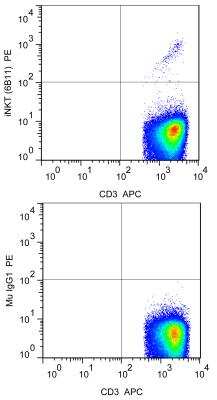 Flow (Cell Surface): V alpha 24 J alpha 18 TCR Antibody (6B11) - BSA Free [NBP2-00267]