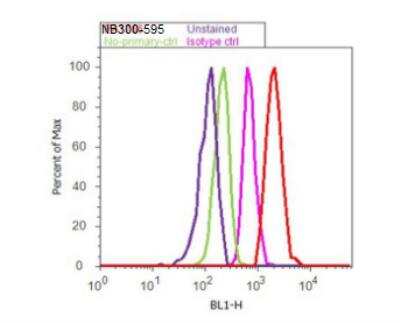 Flow Cytometry: VAMP-2 Antibody [NB300-595]