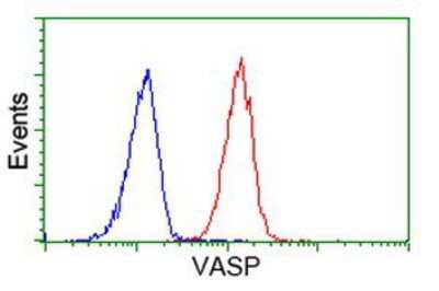 Flow Cytometry: VASP Antibody (OTI4D6) [NBP2-00555]