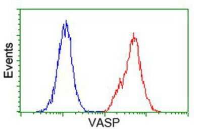 Flow Cytometry: VASP Antibody (OTI4D6) [NBP2-00555]