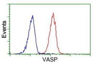 Flow Cytometry: VASP Antibody (OTI4D6) - Azide and BSA Free [NBP2-74830]