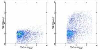 Flow Cytometry: VCAM-1/CD106 Antibody (MR106) - BSA Free [NBP1-43368]