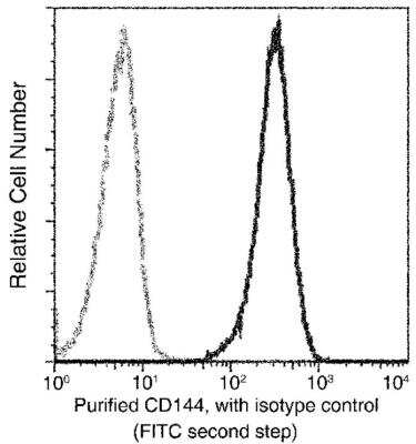 Flow Cytometry: VE-Cadherin Antibody (048) [NBP2-89498]