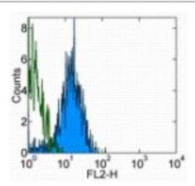 Flow Cytometry: VE-Cadherin Antibody (BV13) - BSA Free [NBP1-43348]