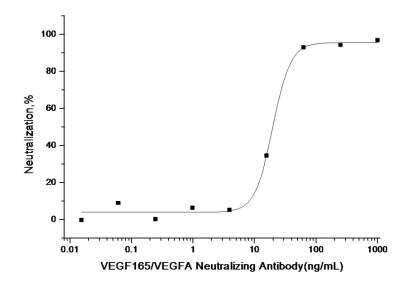 Neutralization: VEGF 165 Antibody (R010) [NBP2-89778]