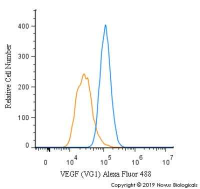 Flow Cytometry of U-87 Cells Stained with Alexa Fluor 488 Conjugated VEGF Antibody