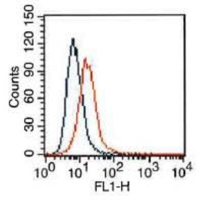 Flow Cytometry: VEGFR2/KDR/Flk-1 Antibody (1B6) - BSA Free [NBP2-36428]