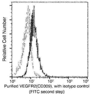 Flow Cytometry: VEGFR2/KDR/Flk-1 Antibody (001) [NBP2-89199]
