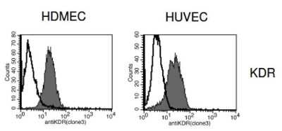 Flow Cytometry: VEGFR2/KDR/Flk-1 Antibody (4H3) - Azide and BSA Free [NBP1-18644]