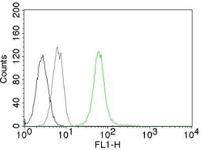 Flow Cytometry: Vimentin Antibody (VM452) - Azide and BSA Free [NBP2-33060]