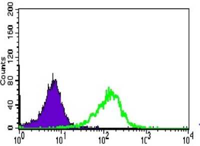 Flow Cytometry: WDR66 Antibody (2A6F7) - BSA Free [NBP2-37381]