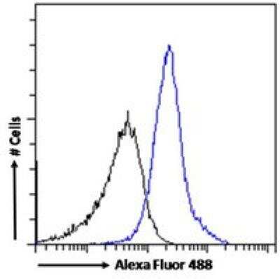 Flow Cytometry: WISP-1/CCN4 Antibody [NB100-77339]