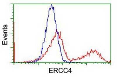 Flow Cytometry: XPF Antibody (OTI4E11) - Azide and BSA Free [NBP2-74883]