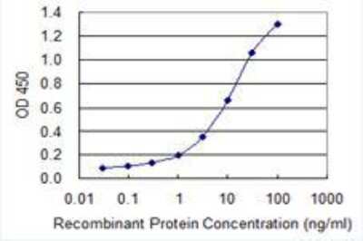 ELISA: XPR1 Antibody (2G8) [H00009213-M06]
