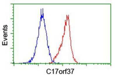 Flow Cytometry: XTP4 Antibody (OTI1E8) [NBP2-01976]