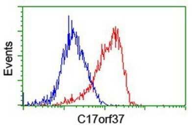 Flow Cytometry: XTP4 Antibody (OTI1E8) - Azide and BSA Free [NBP2-74899]
