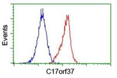 Flow Cytometry: XTP4 Antibody (OTI1E8) - Azide and BSA Free [NBP2-74899]