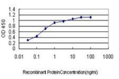 ELISA: YY1 Antibody (2C5) [H00007528-M04]
