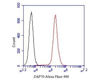 Flow Cytometry: ZAP70 Antibody (A1B5) [NBP2-89121]