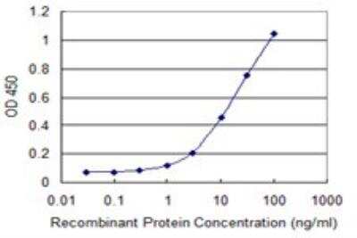 ELISA: ZBP1/DLM-1/DAI Antibody (2C10) [H00081030-M01]