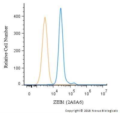 Flow Cytometry: ZEB1 Antibody (2A8A6) - Azide and BSA Free [NBP2-81015]