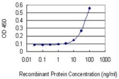 ELISA: ZEB1 Antibody (4C4) [H00006935-M01]