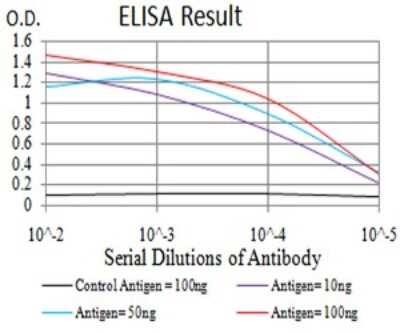 ELISA: ZFP91 Antibody (8C3D5) - BSA Free [NBP2-61847]