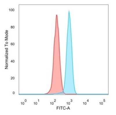 Flow Cytometry: ZHX3 Antibody (PCRP-ZHX3-1G3) [NBP3-13889]
