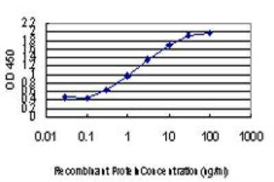 ELISA: ZIC4 Antibody (3D5) [H00084107-M06]
