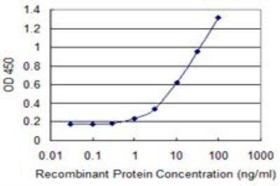 ELISA: ZNF165 Antibody (2B8) [H00007718-M02]