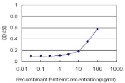 ELISA: ZNF611 Antibody (4F1) [H00081856-M04]
