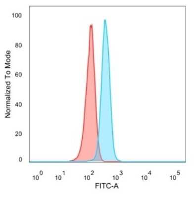 Flow Cytometry: ZNF704 Antibody (PCRP-ZNF704-3C10) [NBP3-13765]