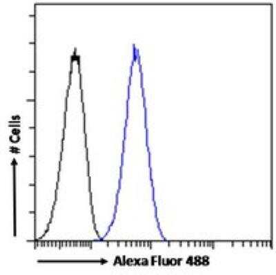 Flow Cytometry: ZNFN1A4 Antibody [NBP3-12160]