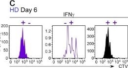 Detection of IFN-gamma by Flow Cytometry