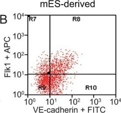 Detection of Mouse VE-Cadherin by Flow Cytometry