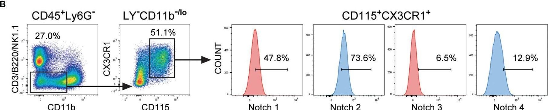 Detection of Notch-1 by Flow Cytometry