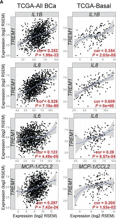 Detection of TREM-1 by Flow Cytometry