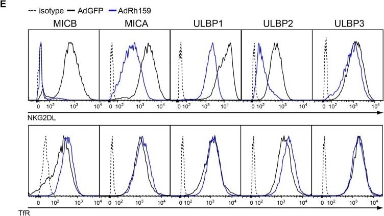 Detection of Human ULBP-2/5/6 by Flow Cytometry