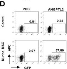 Detection of Angiopoietin-like 2 by Flow Cytometry