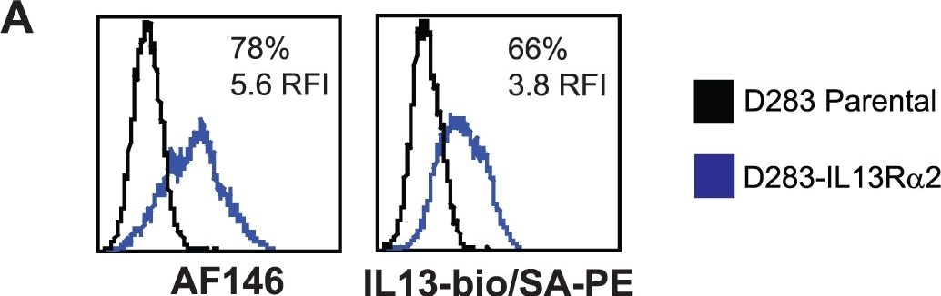 Detection of Human IL-13R alpha 2 by Flow Cytometry