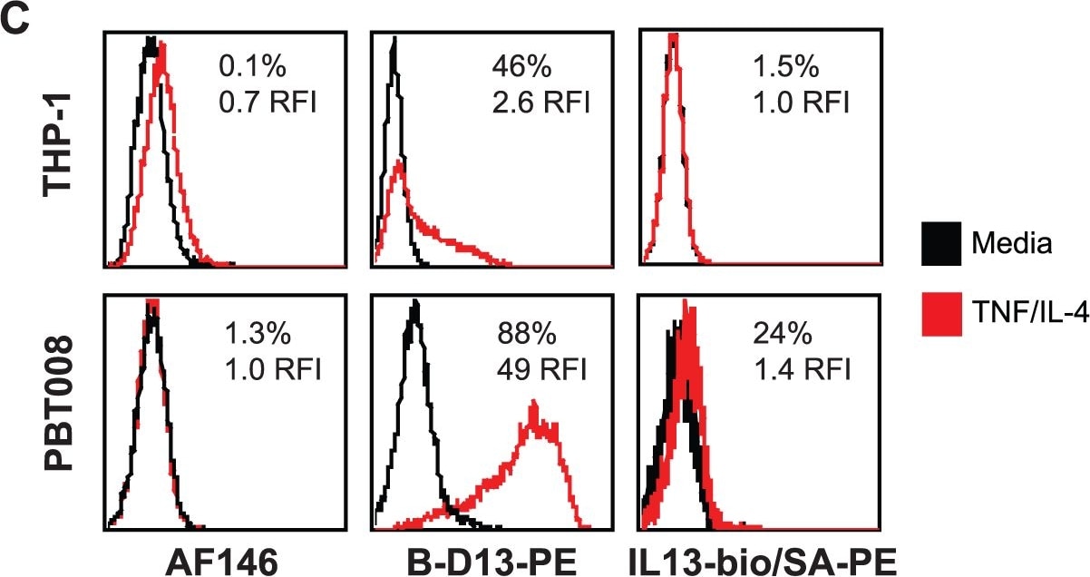 Detection of Human IL-13R alpha 2 by Flow Cytometry
