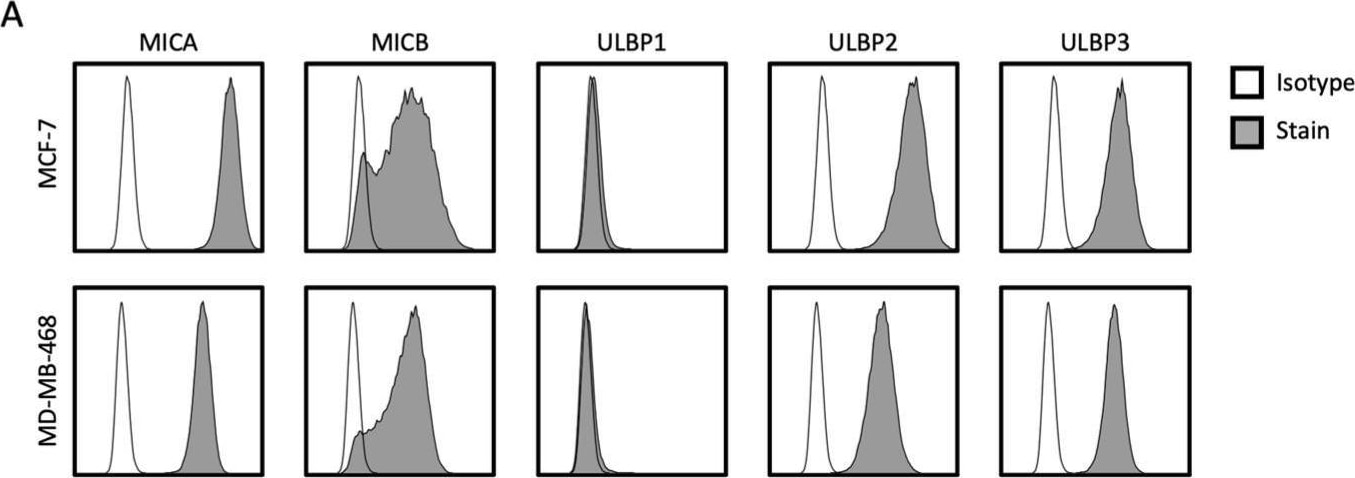 Detection of ULBP-3 by Flow Cytometry